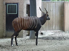 Zoológico 23-09-05 175 Zoológico 23-09-05 175