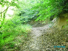 PICT0017