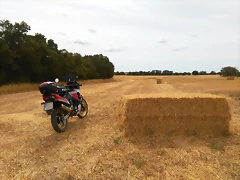 ATRD04