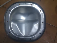 IMAG1135 IMAG1135