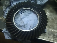 IMAG1128 IMAG1128