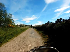 DSCN3193 DSCN3193