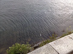 210720111100 210720111100