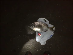 250720111110 250720111110