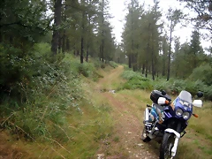 IMG_0213 IMG_0213