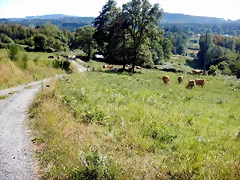 DSCN6611 DSCN6611