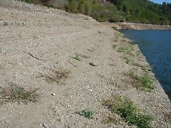 DSCN7547 DSCN7547