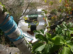 DSCN7557 DSCN7557