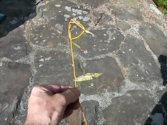 DSCN7556 DSCN7556