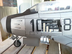 P1100141 P1100141