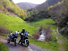 DSCN9081 DSCN9081
