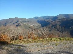 DSCN9169 DSCN9169