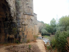 DSCN8061 DSCN8061