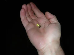 DSCN3297