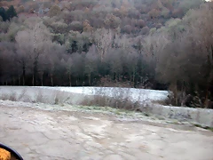 DSCN6730 DSCN6730