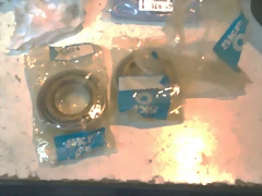 IMAG0233 IMAG0233