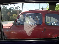 SDC13473 SDC13473
