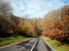 DSCN2294