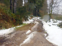 DSCN3041