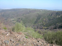 DSCN6524 DSCN6524