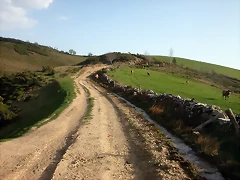 DSCN6433 DSCN6433