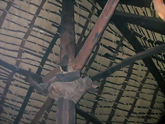 DSCN6669 DSCN6669