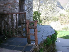 DSCN6534 DSCN6534