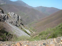 DSCN6529 DSCN6529