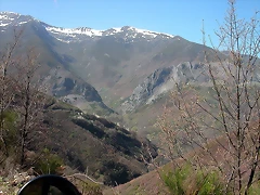 DSCN6528 DSCN6528