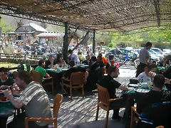 DSCN6591 DSCN6591