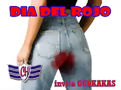 DIA DEL ROJO