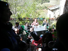 DSCN6536 DSCN6536
