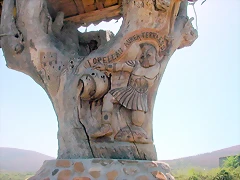 DSCN6569 DSCN6569