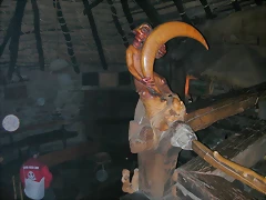 DSCN6655 DSCN6655