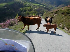 DSCN1630 DSCN1630