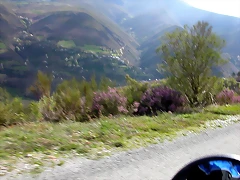 DSCN1626 DSCN1626
