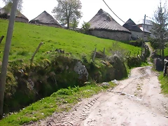 DSCN1679\'5 DSCN1679\'5