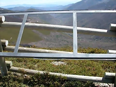 DSCN1687 DSCN1687