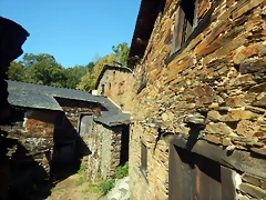 DSCN7787 DSCN7787