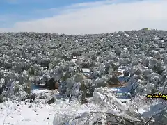 03, blanca navidad3, marca