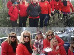 palmito22 palmito22