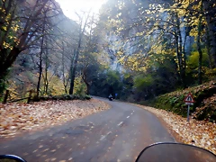 DSCN9715 DSCN9715