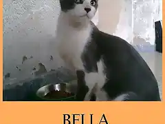 BELLA