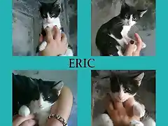 ERIC