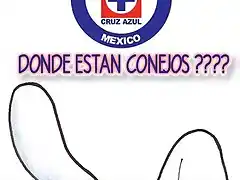 DONDE ESTAN CONEJOS