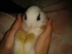 TUSII*