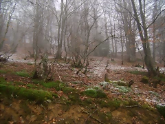 P3070106 P3070106