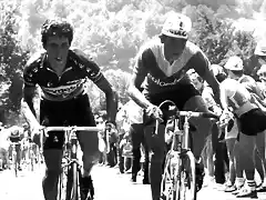 Perico-Tour1984-Herrera