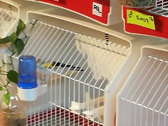 IMG_20170122_120916 IMG_20170122_120916