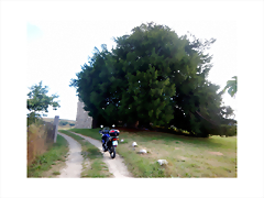 DSCN3521 DSCN3521